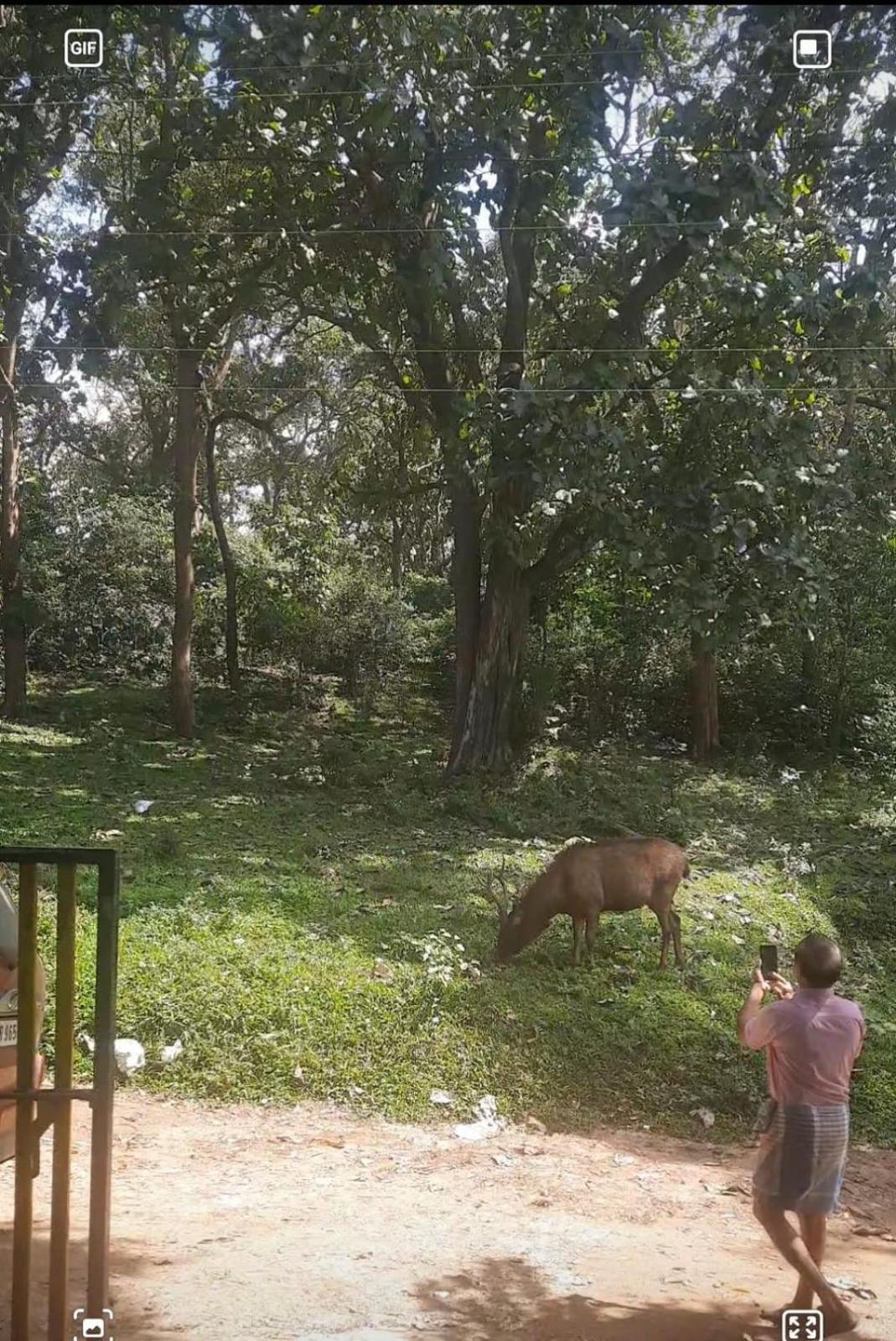 Wild Window - Forest View Homestay Thekkady Eksteriør bilde