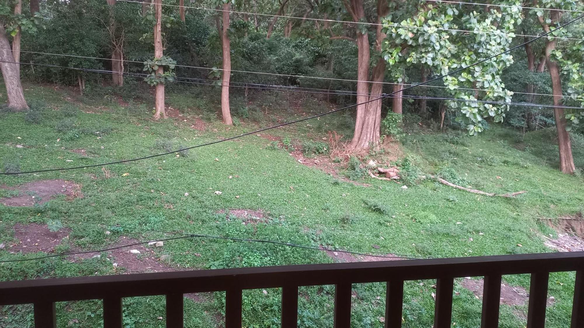 Wild Window - Forest View Homestay Thekkady Eksteriør bilde