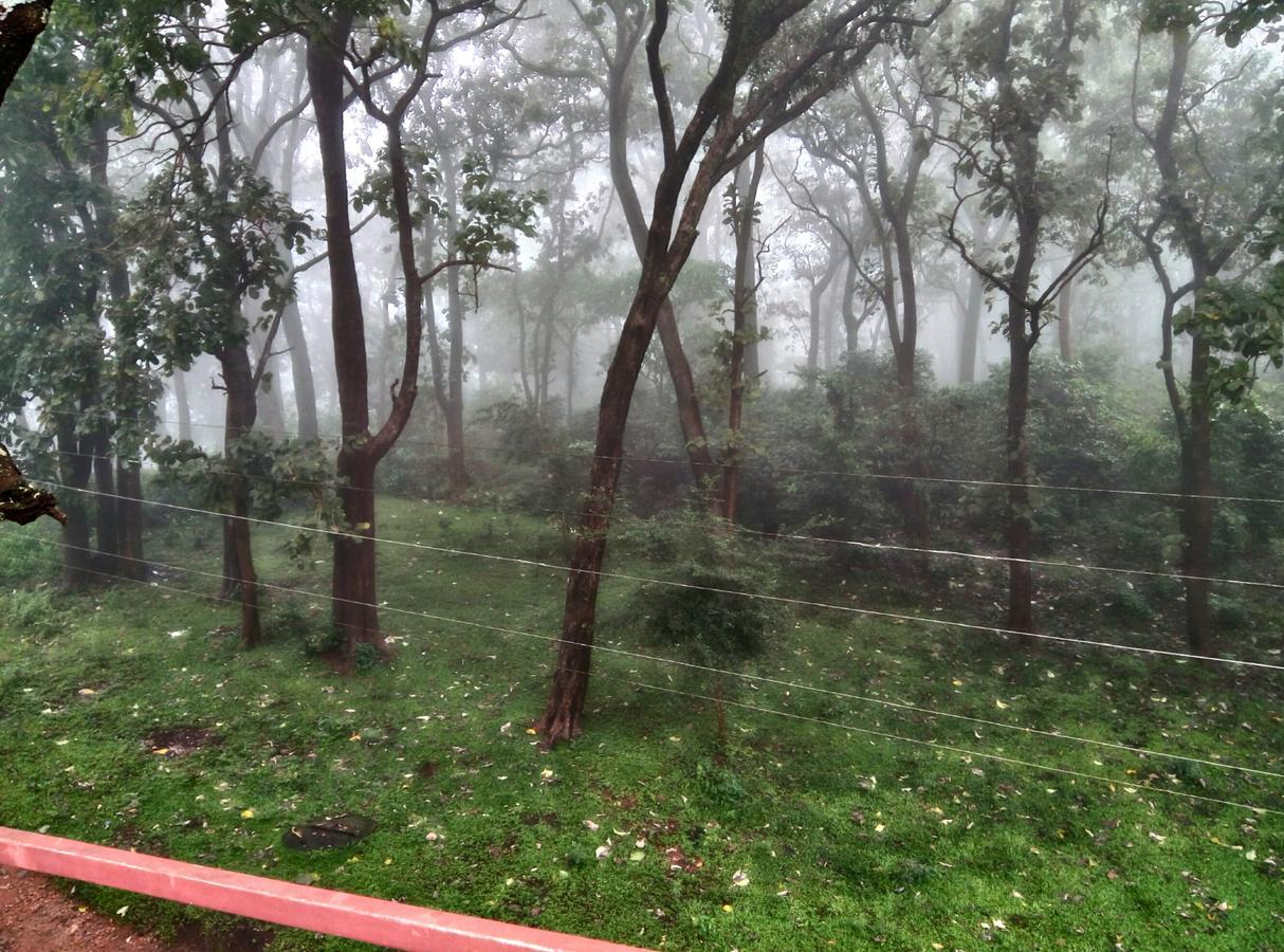 Wild Window - Forest View Homestay Thekkady Eksteriør bilde