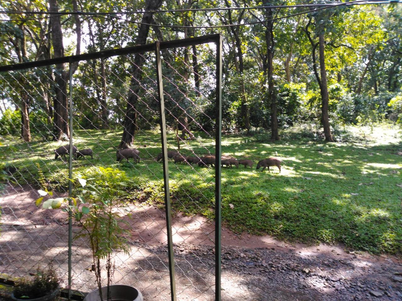 Wild Window - Forest View Homestay Thekkady Eksteriør bilde