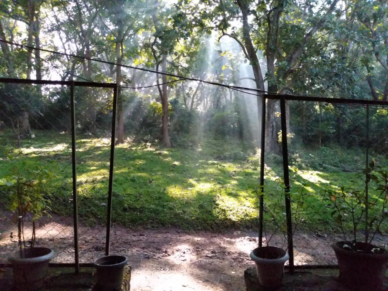Wild Window - Forest View Homestay Thekkady Eksteriør bilde