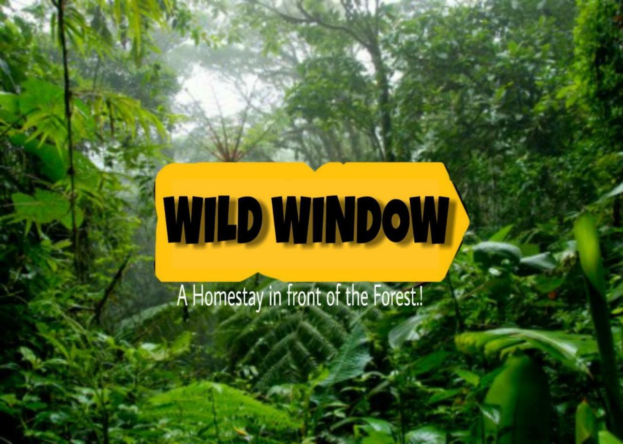 Wild Window - Forest View Homestay Thekkady Eksteriør bilde