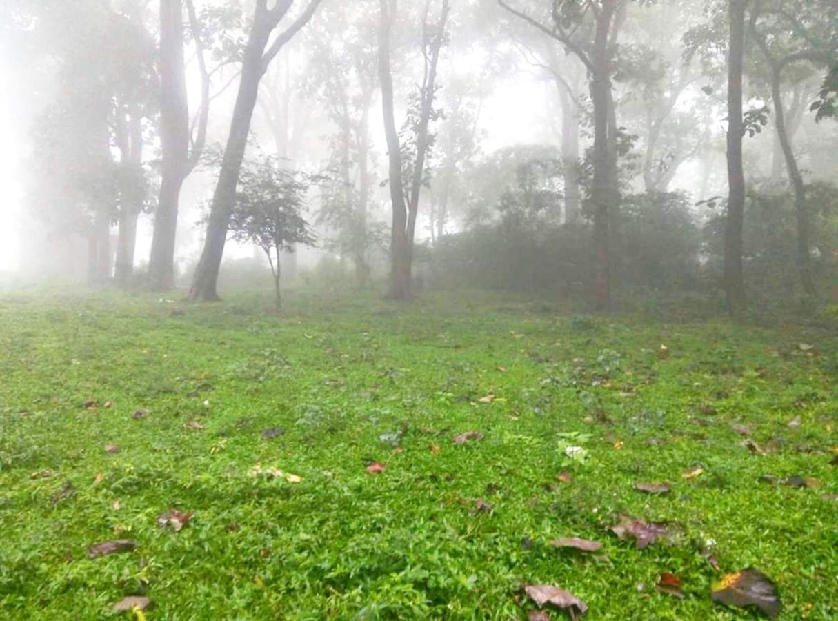 Wild Window - Forest View Homestay Thekkady Eksteriør bilde