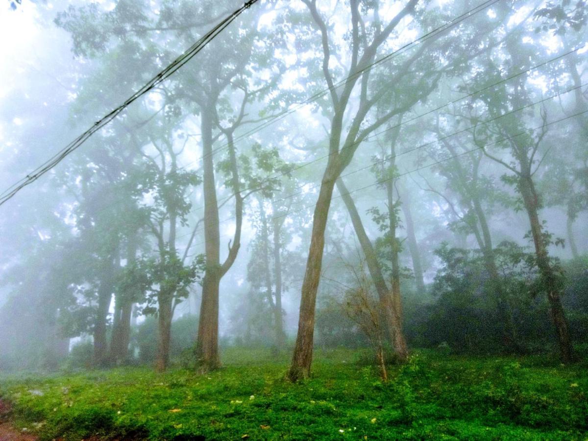 Wild Window - Forest View Homestay Thekkady Eksteriør bilde
